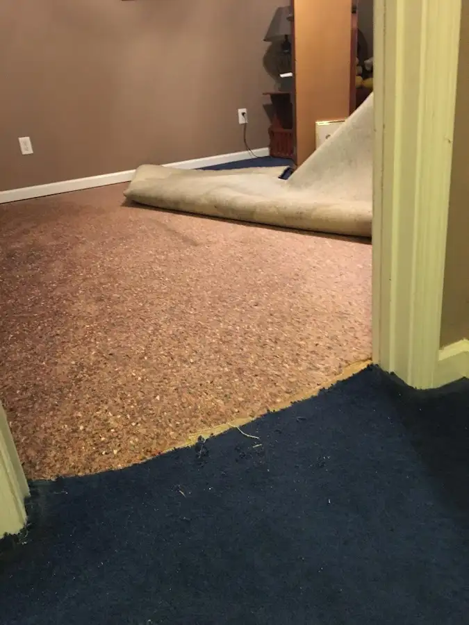 Carpet pad removal revealing water damage during Drying & Dehumidification in Murraysville