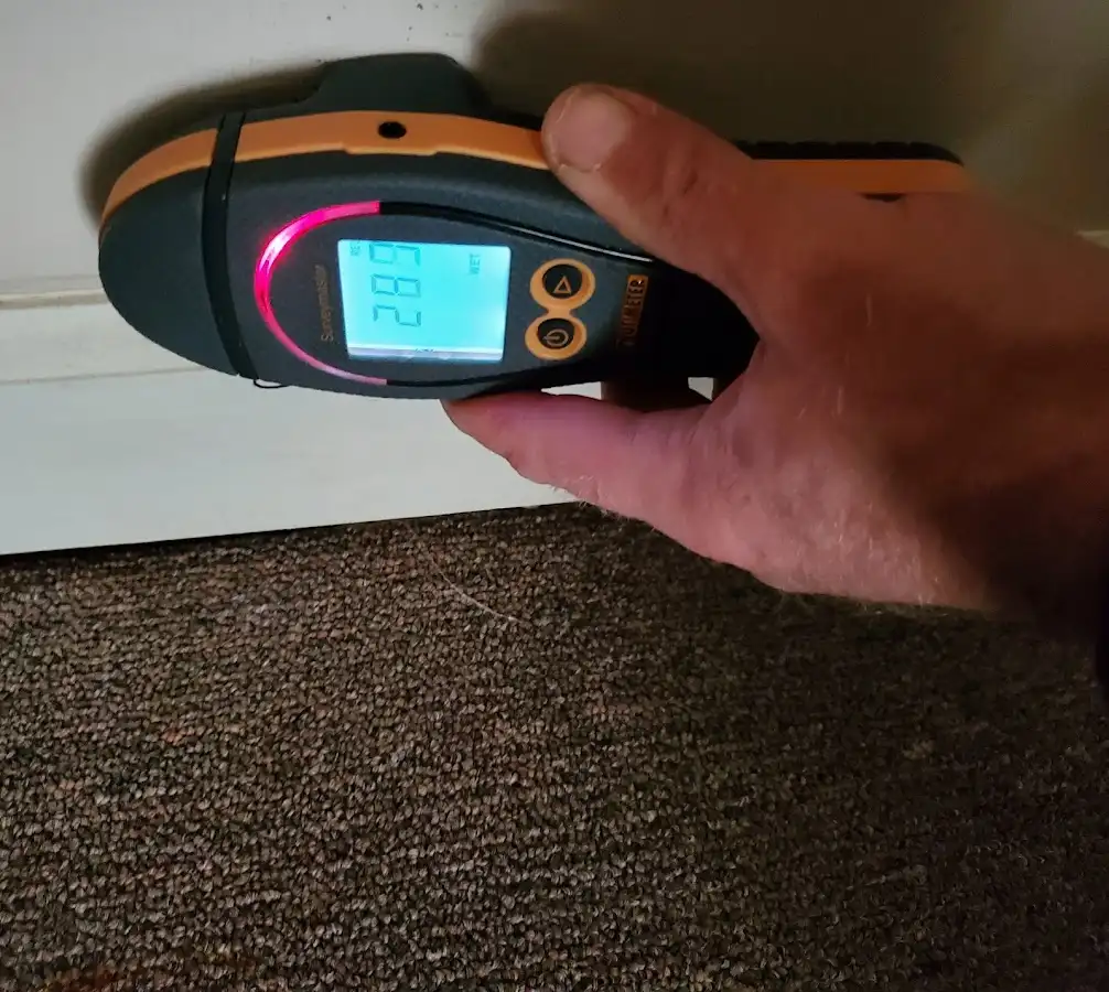 Moisture detection at baseboard during Sewage Cleanup & Sanitation in Murraysville